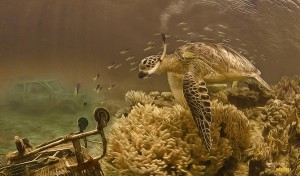 Sea-turtle-Painting3